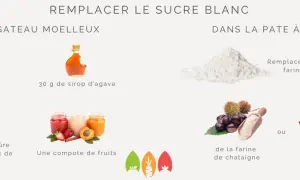 Idées pour remplacer le sucre blanc : banane écrasée, compote de fruits, sirop d'agave, farine de châtaigne ou de patate douce.