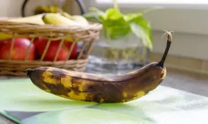 Une banane trop mûre, parfaite pour faire des muffins ou un pain aux bananes.