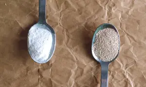 Deux cuillères : l'une avec de la levure chimique blanche et fine, l'autre avec de la levure boulangère granuleuse.