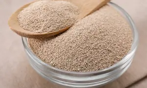 Une cuillère en bois dépose de la levure sèche dans un bol en verre. Prêt à activer levure seche pour une pâte parfaite.