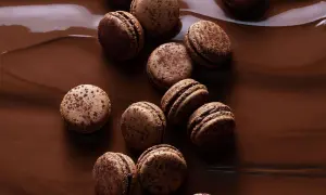 Douceurs chocolatées pour une recette macaron traditionnel parfaite. Ces macarons, parsemés de cacao, reposent sur un lit de chocolat fondu.