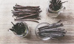 Gousses de vanille brunes dans des bocaux et sur une assiette. Apprenez comment utiliser une gousse de vanille pour parfumer vos desserts.
