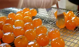 Des fruits orangés brillants, prêts à être confits, sont disposés sur une grille. Une fourchette les manipule délicatement.