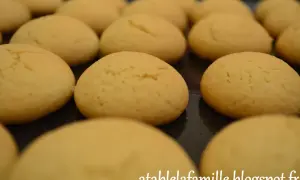 Des boules de coco dorées, prêtes à être dégustées. Ces petits gâteaux moelleux invitent à la gourmandise.