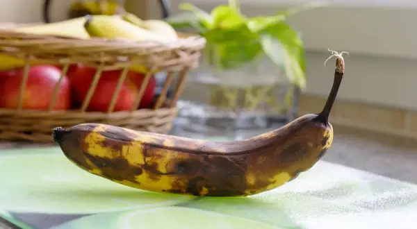 Une banane trop mûre, parfaite pour faire des muffins ou un pain aux bananes.