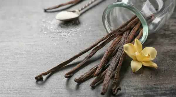 Un tas de gousses de vanille séchées débordent d'un bocal en verre, accompagnées d'une fleur de vanille jaune et d'une cuillère de sucre.
