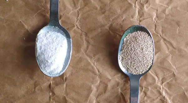 Deux cuillères : l'une avec de la levure chimique blanche et fine, l'autre avec de la levure boulangère granuleuse.