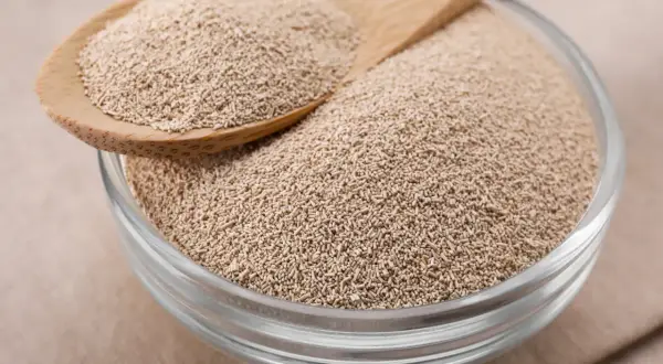 Une cuillère en bois dépose de la levure sèche dans un bol en verre. Prêt à activer levure seche pour une pâte parfaite.
