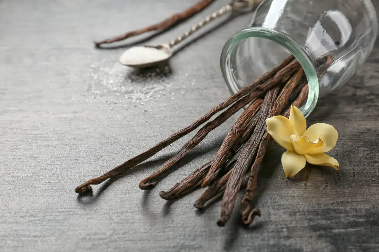 Un tas de gousses de vanille séchées débordent d'un bocal en verre, accompagnées d'une fleur de vanille jaune et d'une cuillère de sucre.
