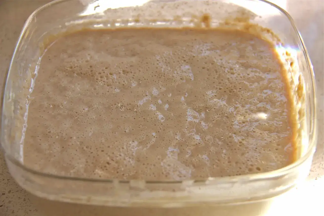 Un levain p&eacute;tillant dans un r&eacute;cipient en verre, pr&ecirc;t &agrave; remplacer la levure de boulanger pour un pain savoureux.