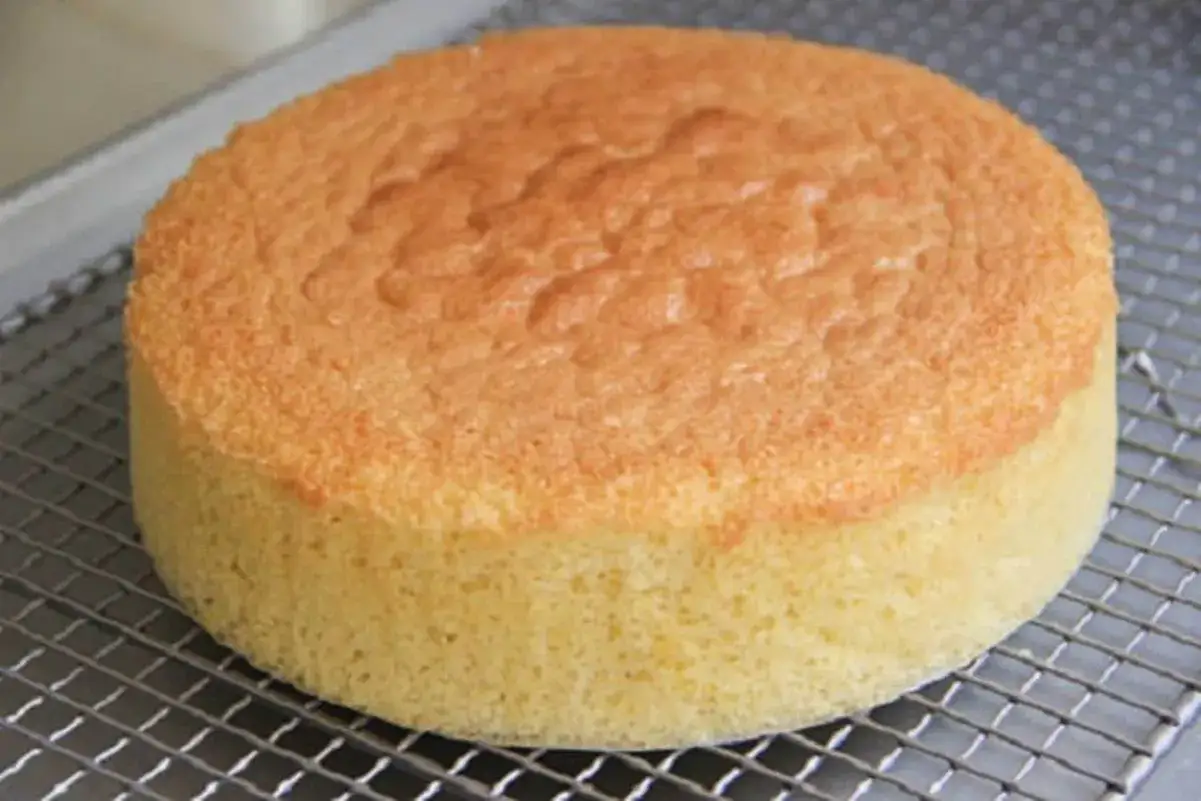 Un g&acirc;teau g&eacute;noise dor&eacute; et moelleux, parfait pour toute recette. Sa texture a&eacute;rienne est id&eacute;ale pour &ecirc;tre garnie.