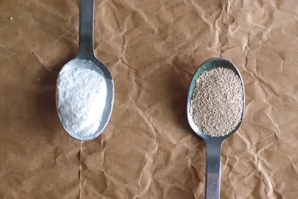 Deux cuillères : l'une avec de la levure chimique blanche et fine, l'autre avec de la levure boulangère granuleuse.